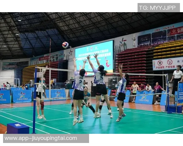 实时新闻深度对话陈娜如何在排球赛场上书写自己的传奇人生